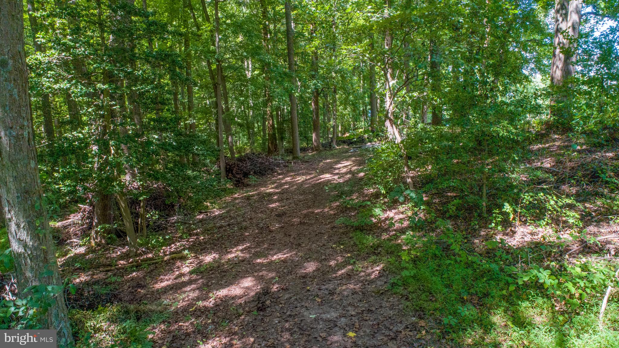 1879 Oldfield Point Road Elkton, MD 21921 - Photo 28 of 36 OPEN TRAILS IN THE WOODED ACREAGE
