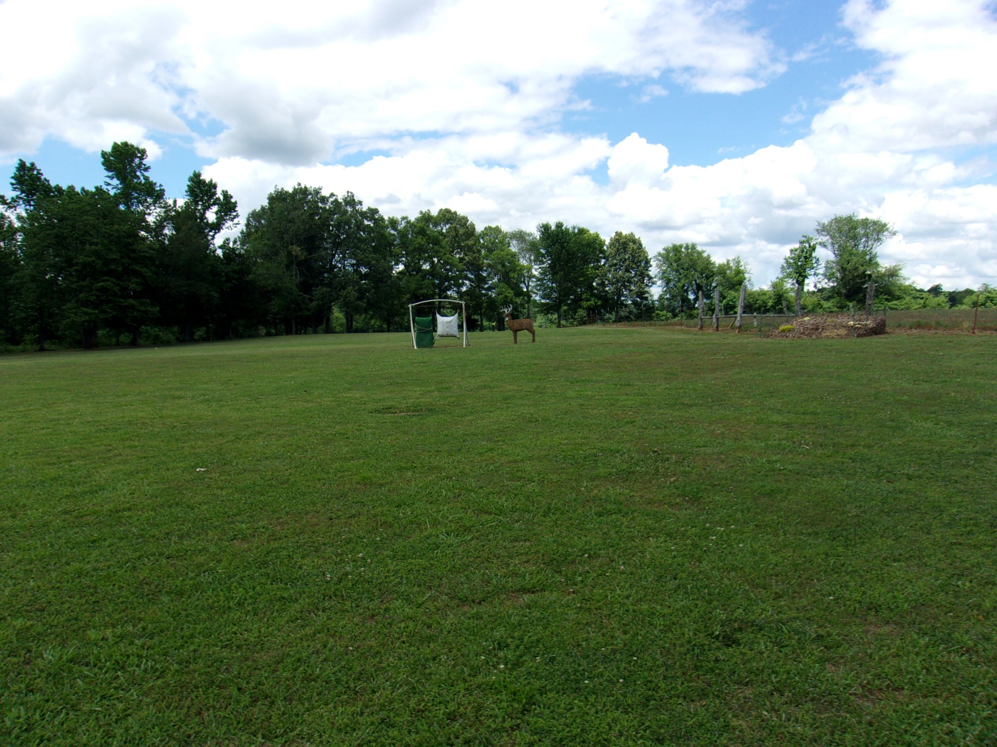 248 Spring Meadows Lane Morrison, TN 37357 - Photo 30 of 36 a view of field with trees in the background