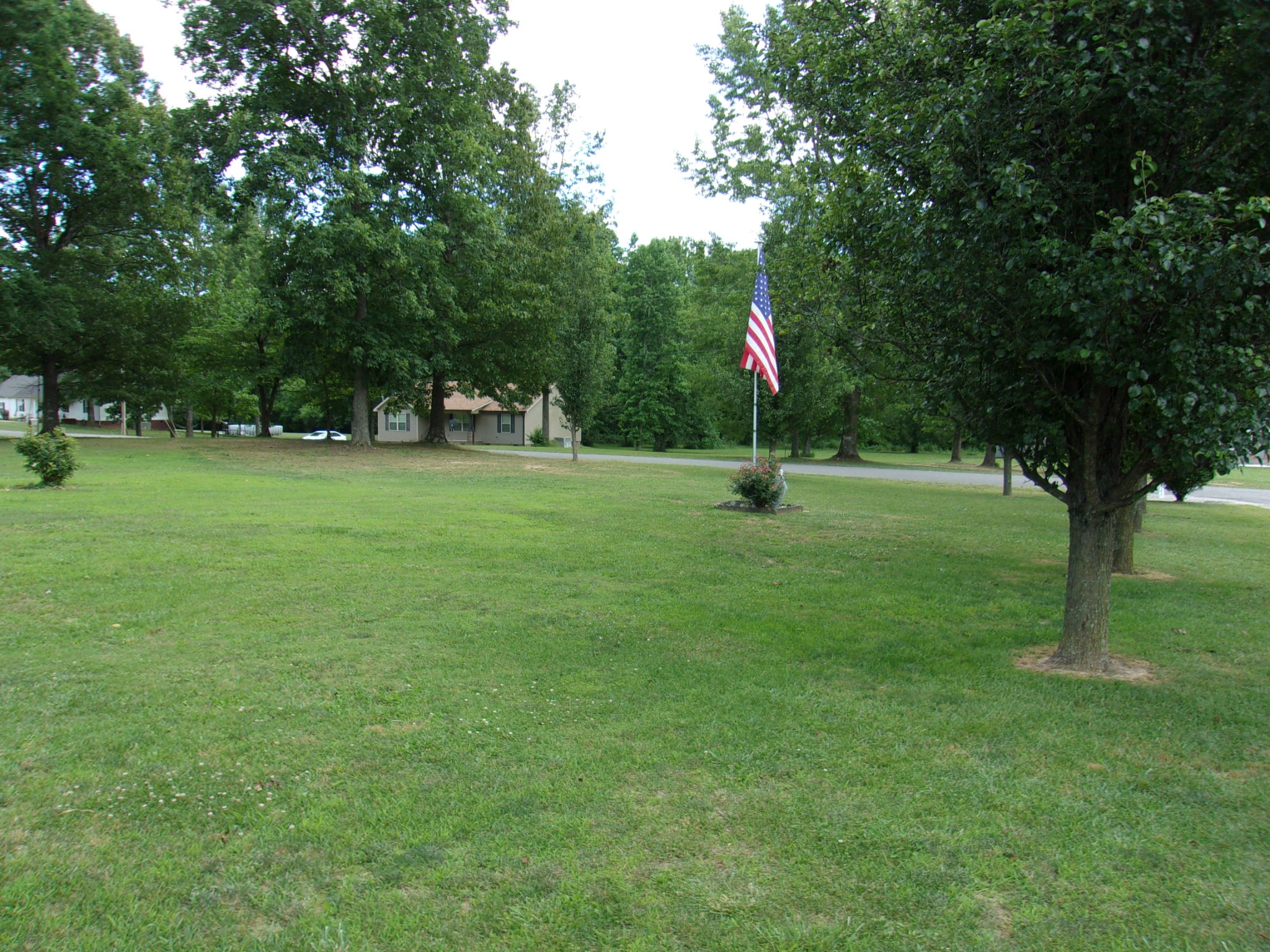 248 Spring Meadows Lane Morrison, TN 37357 - Photo 32 of 36 a view of a park with a tree in the background