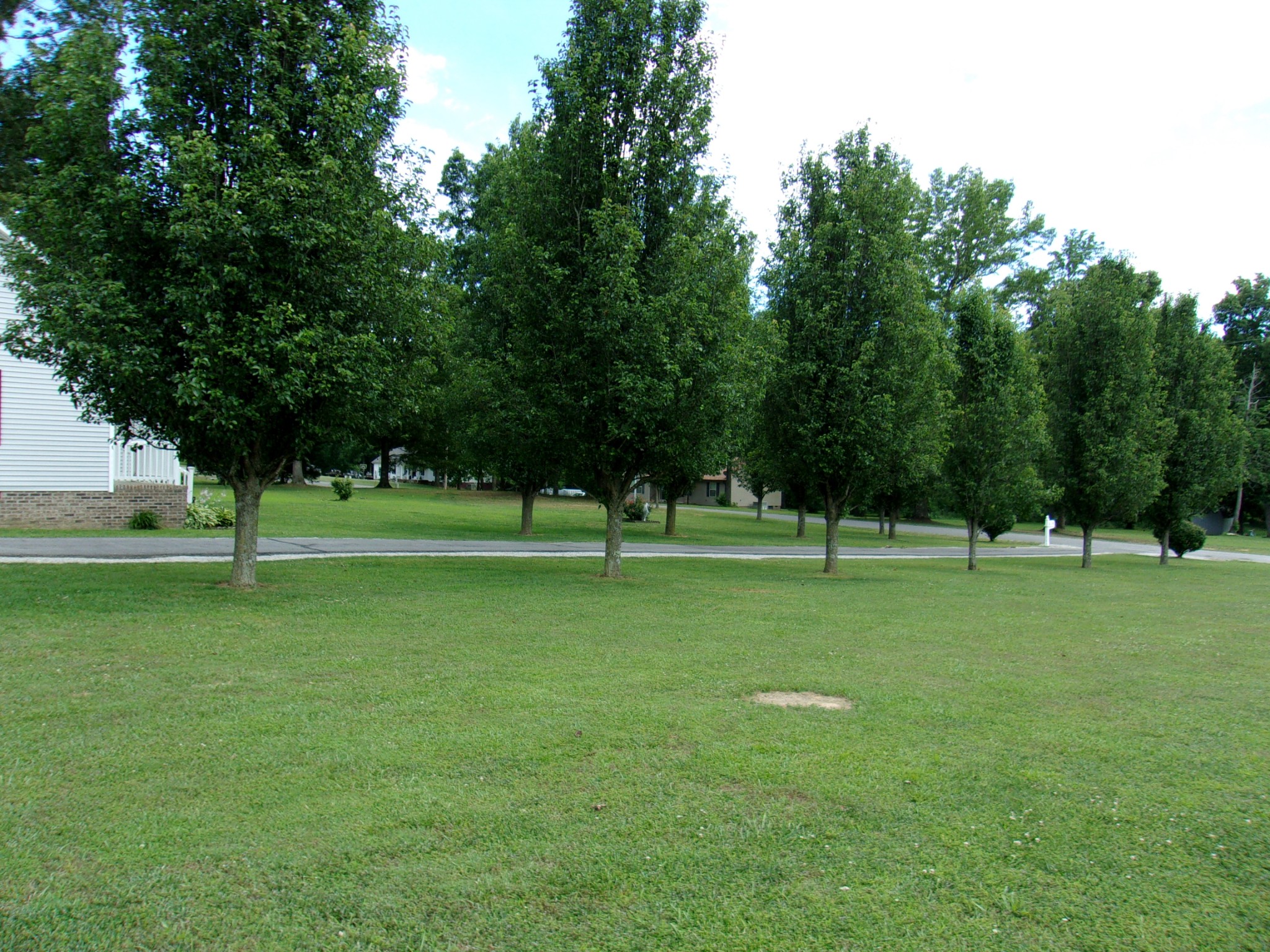 248 Spring Meadows Lane Morrison, TN 37357 - Photo 33 of 36 a view of a trees in a park