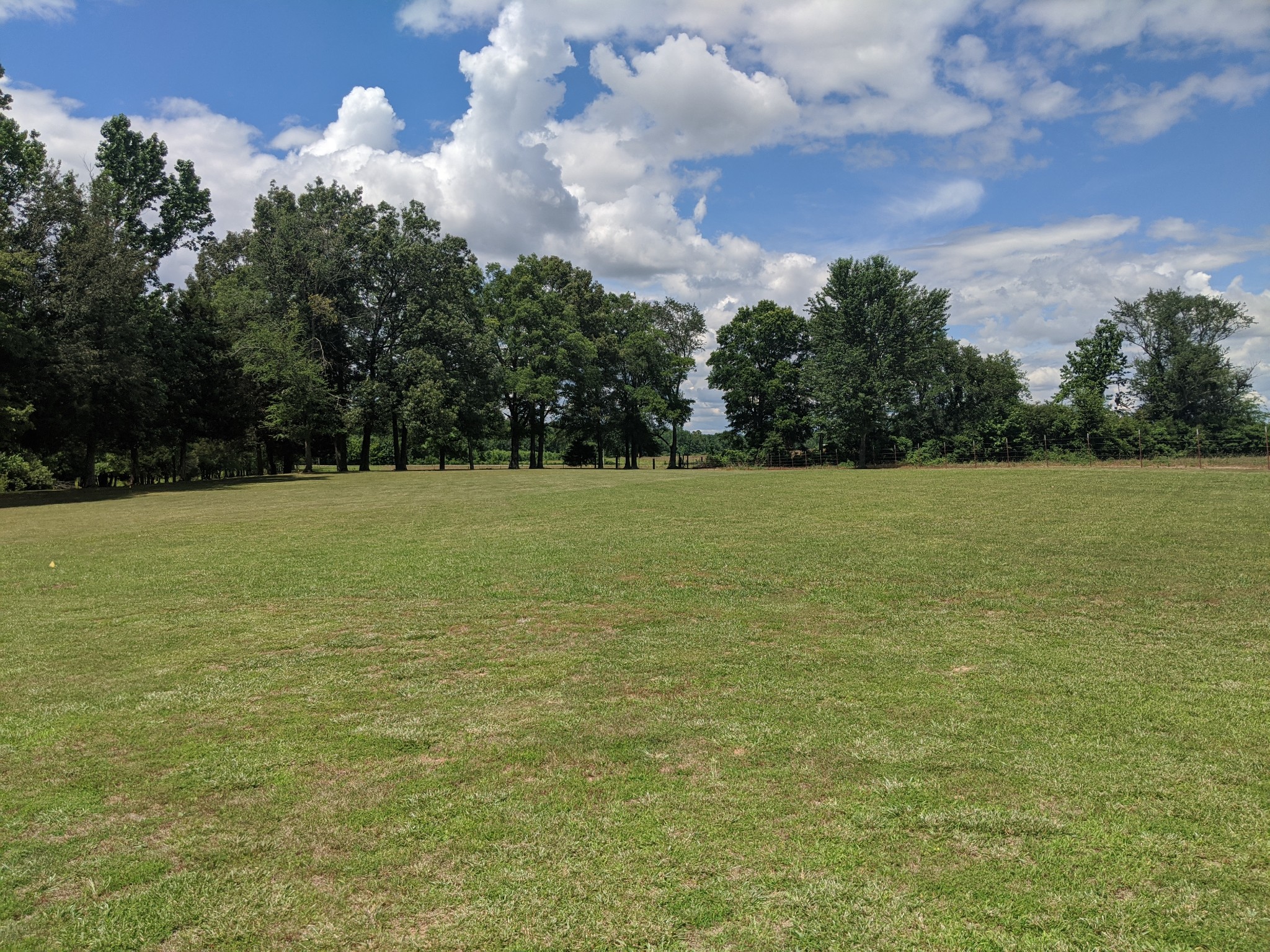 248 Spring Meadows Lane Morrison, TN 37357 - Photo 35 of 36 a view of a field with an trees in the background