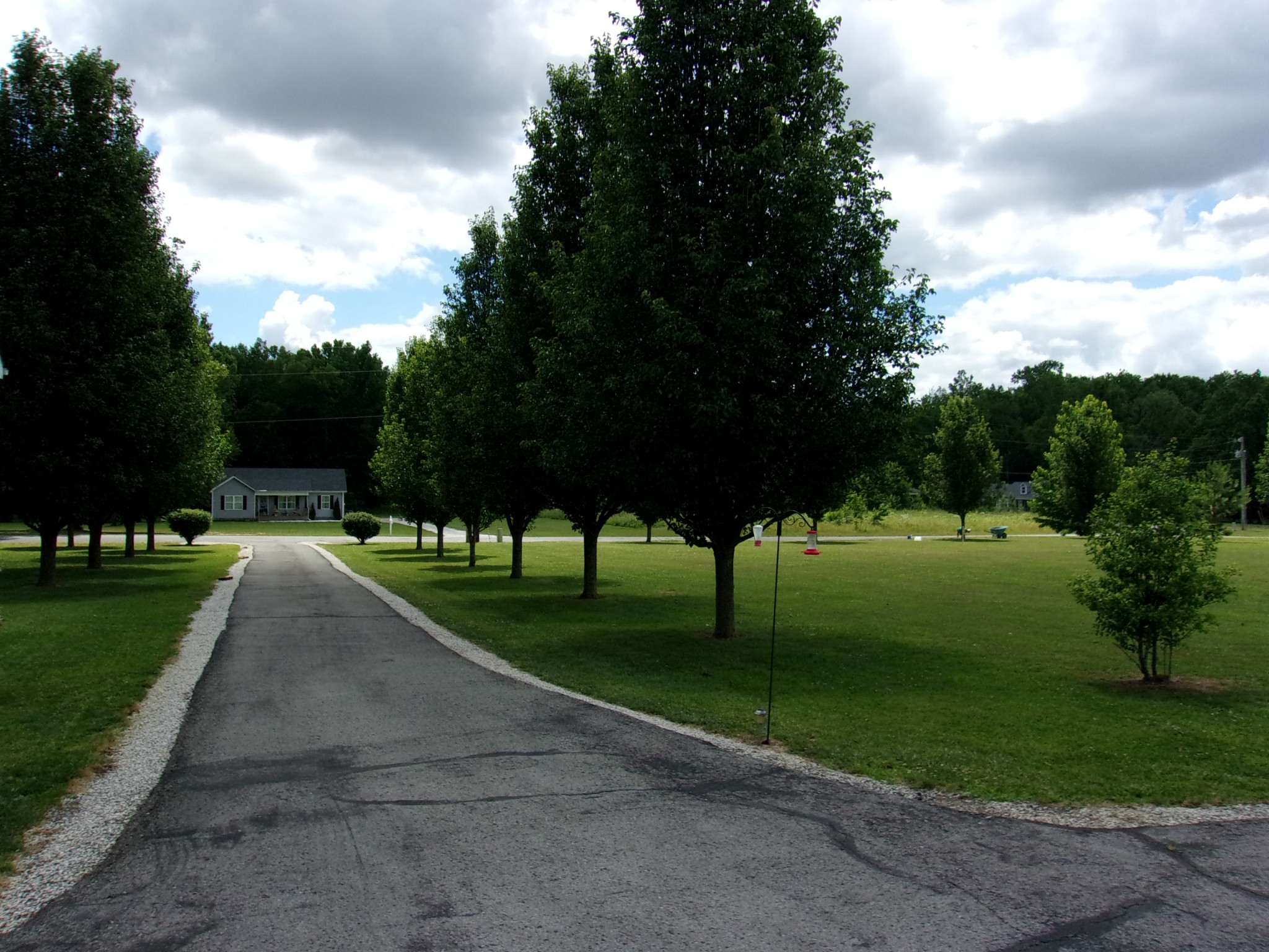 248 Spring Meadows Lane Morrison, TN 37357 - Photo 6 of 36 a view of park with plants and trees
