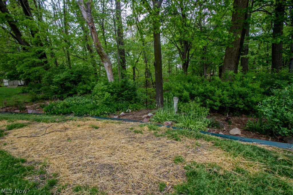 8119 Dalebrook Road Independence, OH 44131 - Photo 25 of 25 Back Yard with Wooded View