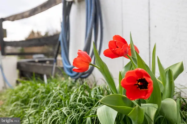 $509,000 | 4494 Cedar Creek Grade, Winchester, VA 22602