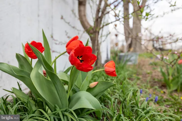 $509,000 | 4494 Cedar Creek Grade, Winchester, VA 22602