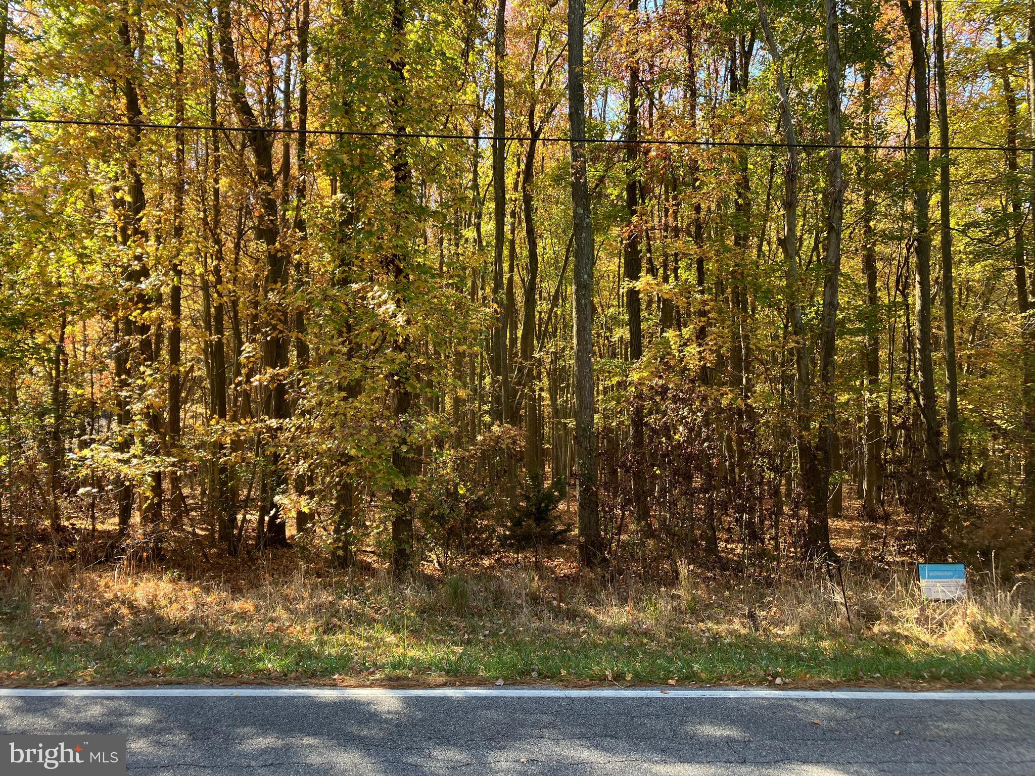 Crosby Road Rock Hall, MD 21661 - Photo 2 of 10 a view of a yard