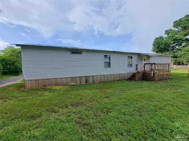 a view of a backyard with plants and a large tree
