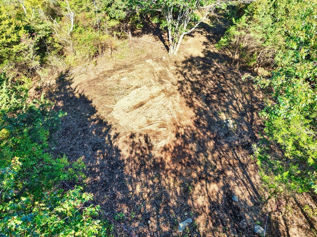 2 Horseneck Road Dartmouth, MA 02748 - Photo 7 of 11 a yard with a tree
