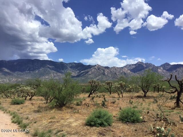 3691 East Rollins Road Tucson, AZ 85739 - Photo 5 of 12