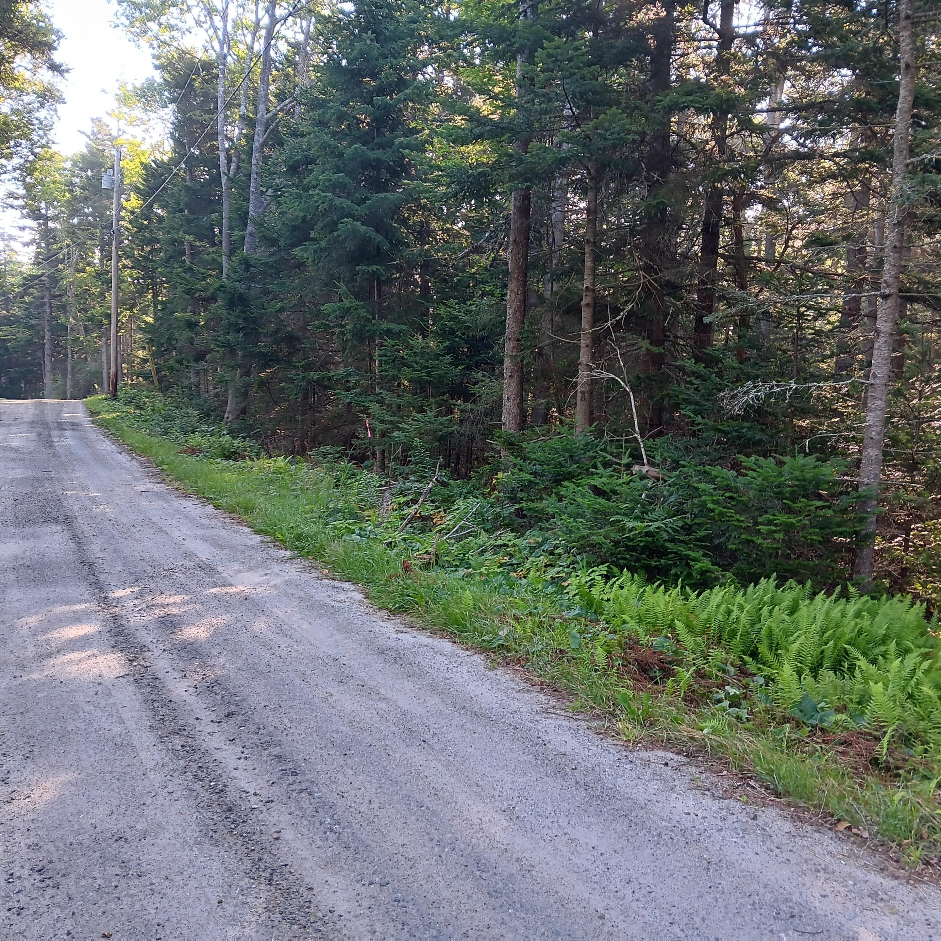 1 B Old Mill Road New Harbor, ME 04554 - Photo 2 of 10 20250726_072617