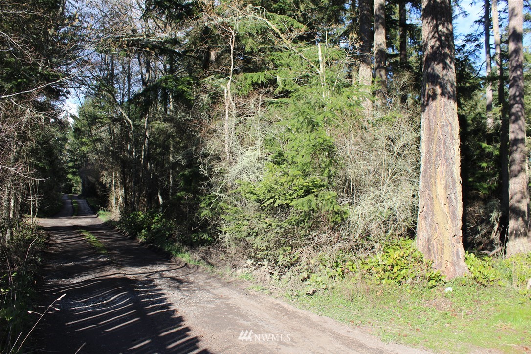 674 Burt Road Lopez Island, WA 98261 - Photo 11 of 13
