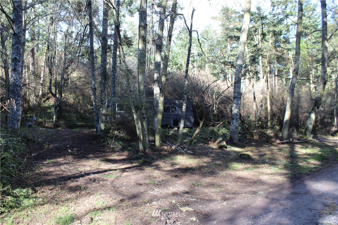 674 Burt Road Lopez Island, WA 98261 - Photo 12 of 13