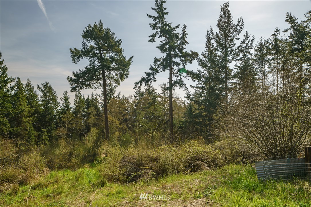 674 Burt Road Lopez Island, WA 98261 - Photo 9 of 13