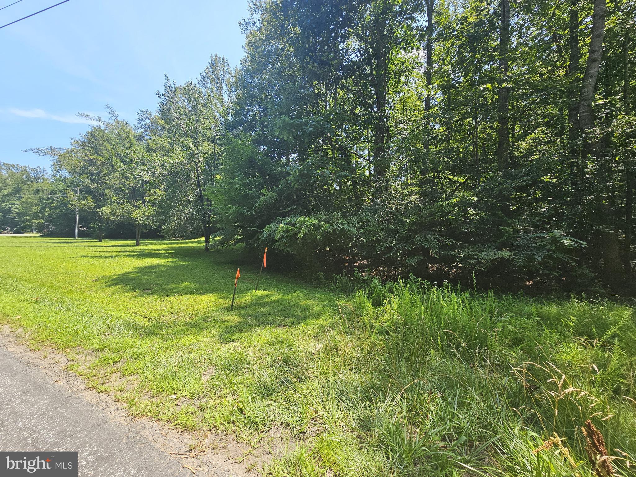 Jacks Shop Road Rochelle, VA 22738 - Photo 8 of 9 Property Entrance