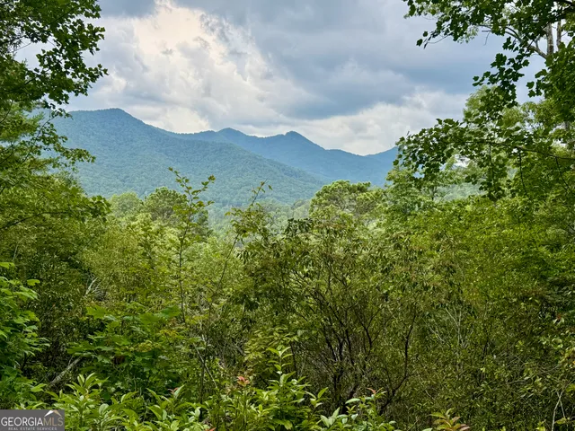 a view of a yard and mountain in the back