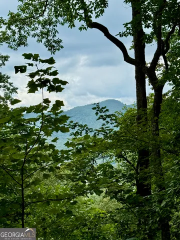 a view of a tree in a garden