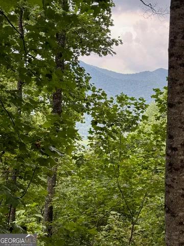 a view of a plants of the building