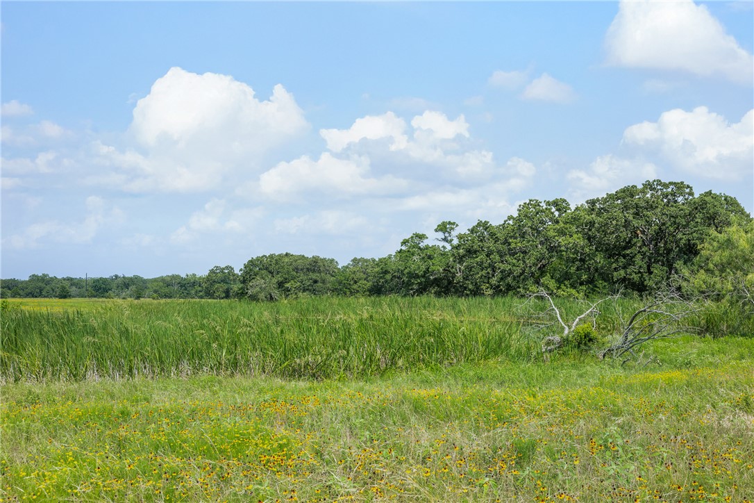 0 Hopes Creek Road College Station, TX 77845 - Photo 12 of 24