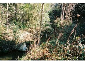 0 Sinking Springs Road, Unit 6 Midway, TN 37809 - Photo 3 of 6 Photo 3