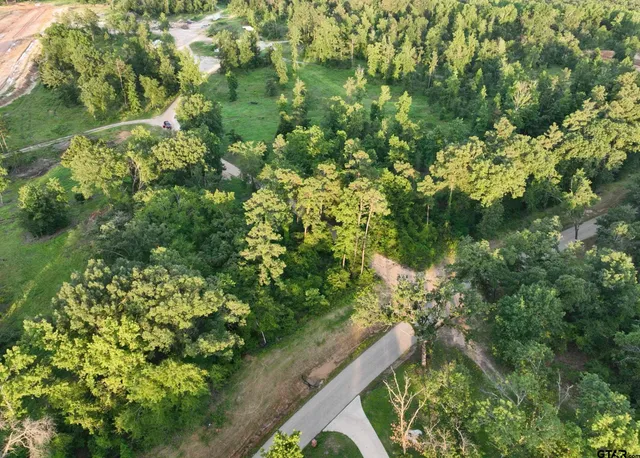 $170,000 | Lot 47 Cr 2123 Whitehouse Tx 75791, Whitehouse, TX 75791