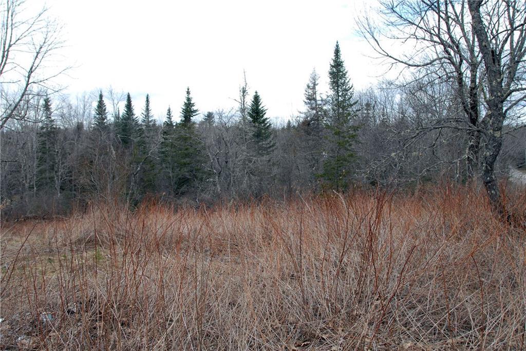 0 Cedar Swamp Road Orland, ME 04472 - Photo 1 of 24 Photo