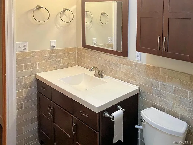 a bathroom with a sink and a toilet