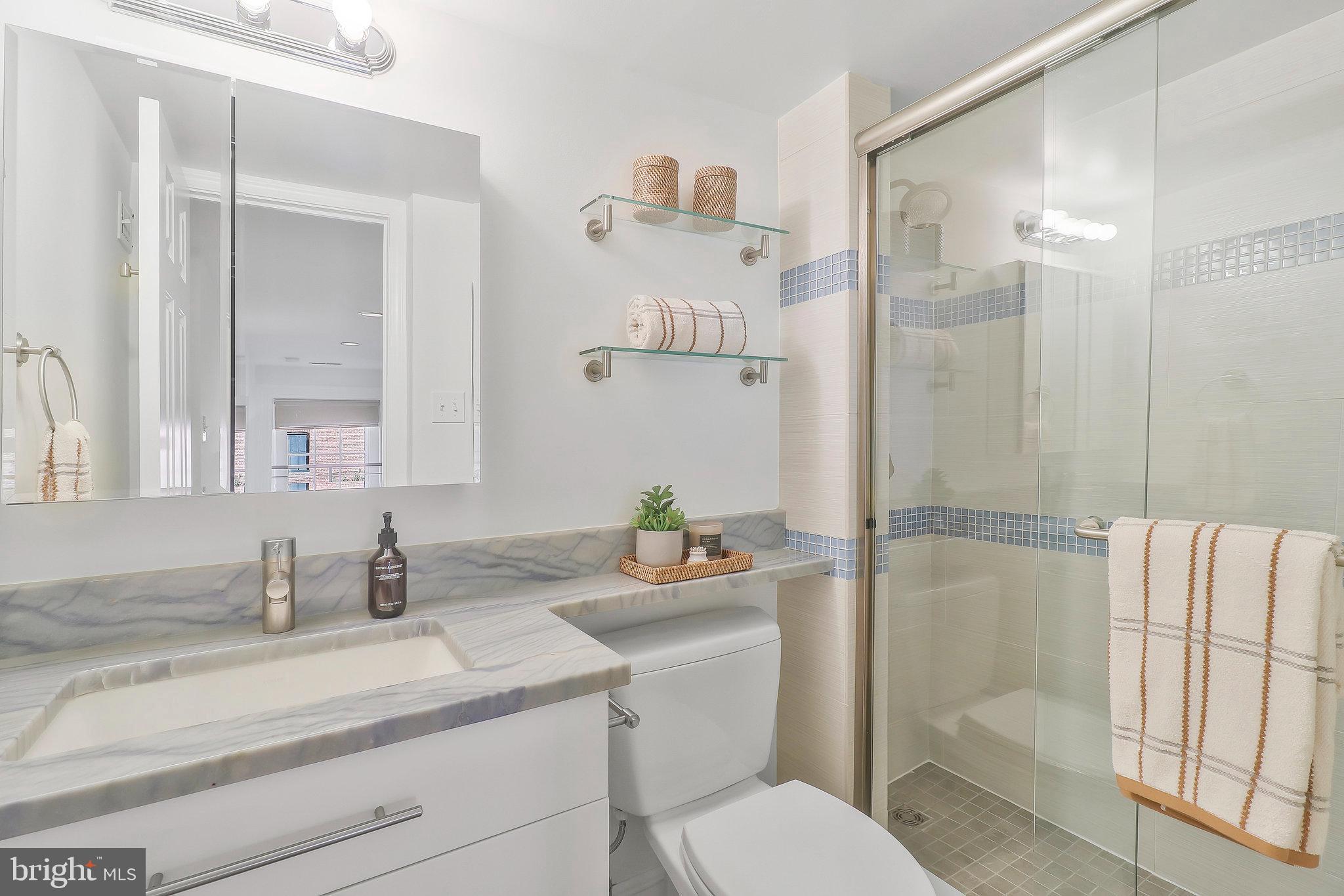 410 5th Street Northeast, Unit 14 Washington, DC 20002 - Photo 29 of 40 Upper primary full bath with glass shower.