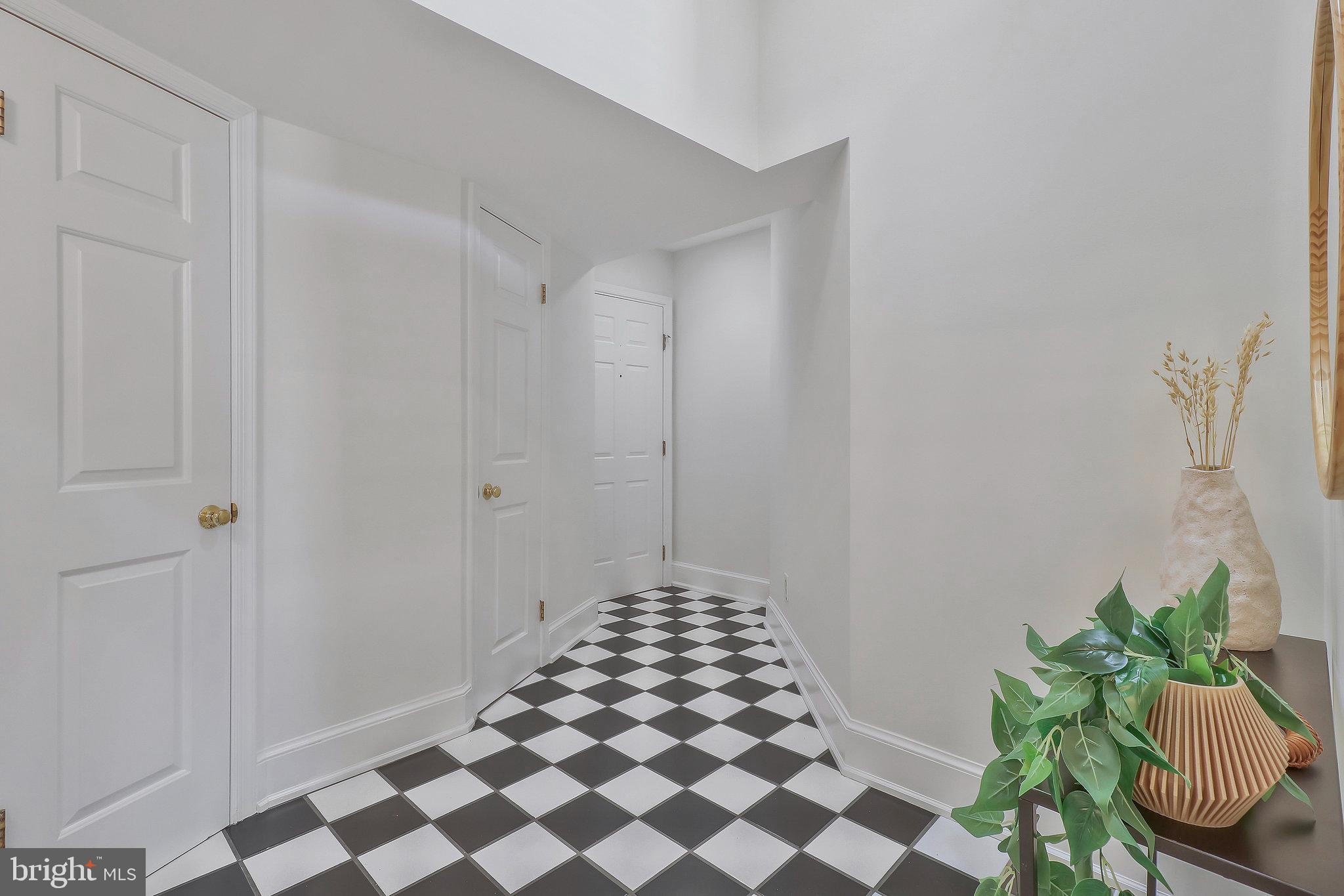 410 5th Street Northeast, Unit 14 Washington, DC 20002 - Photo 8 of 40 Classic entryway.