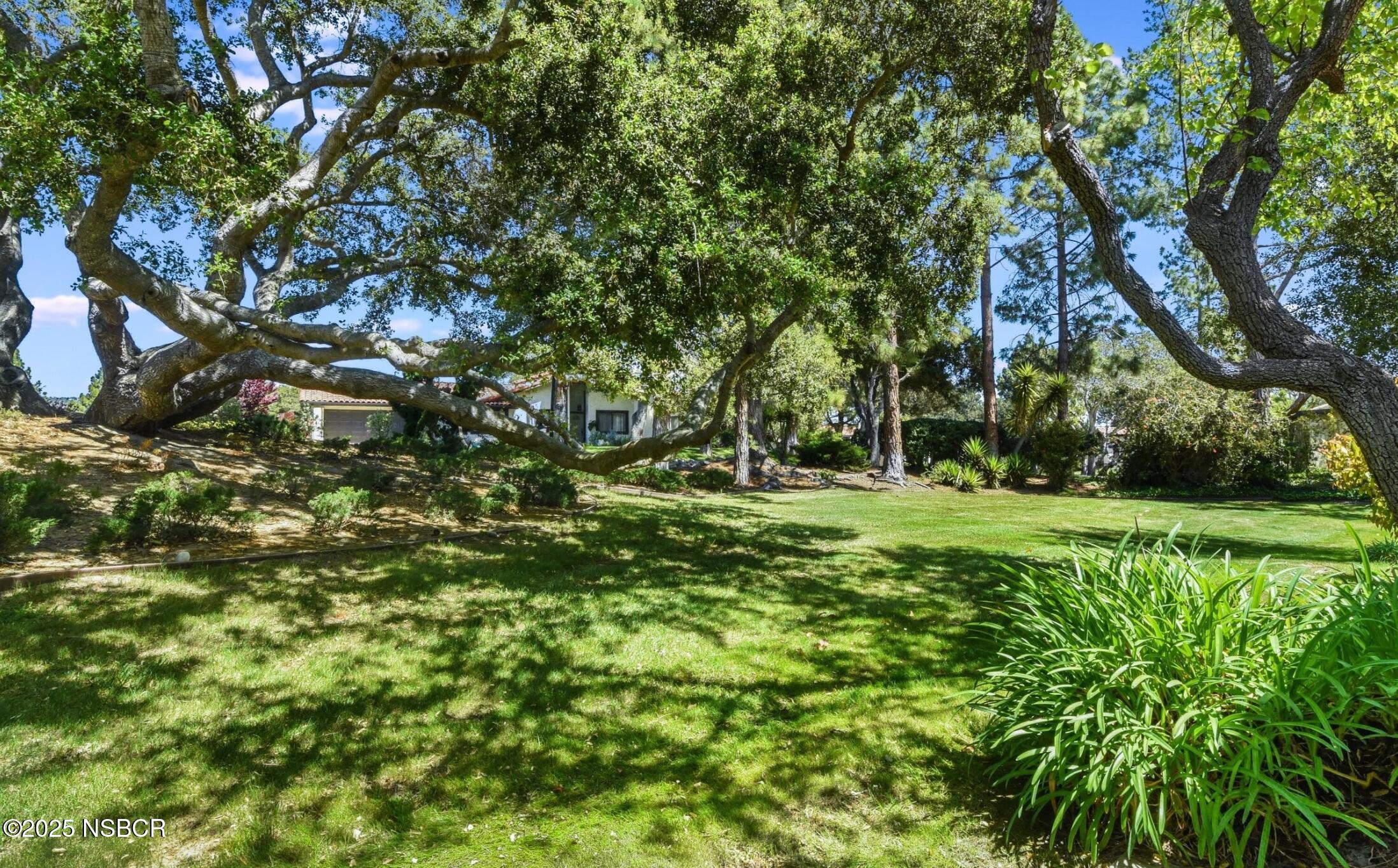 5 Stanford Circle Lompoc, CA 93436 - Photo 21 of 21 a view of park with trees