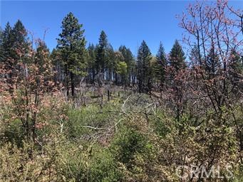 6847 High Valley Road Lucerne, CA 95458 - Photo 1 of 6 a view of a forest with trees in the background