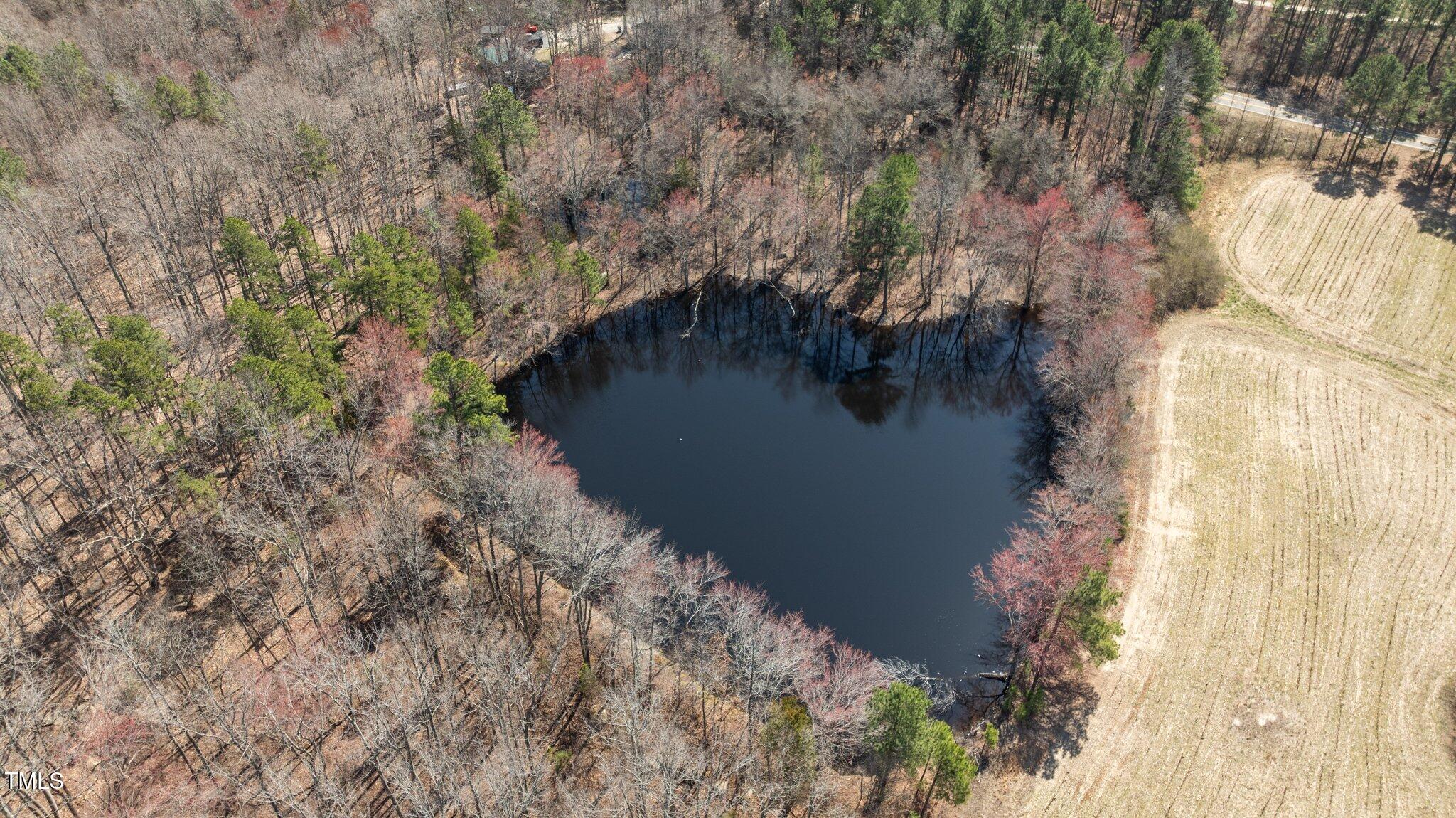 2710 Morton-Pulliam Road Roxboro, NC 27574 - Photo 12 of 12 a view of a lake in middle of forest