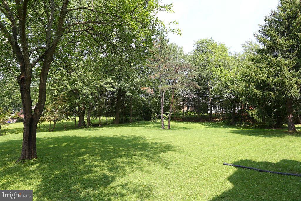 12530 Falls Road Potomac, MD 20854 - Photo 27 of 27 a view of field with tall trees