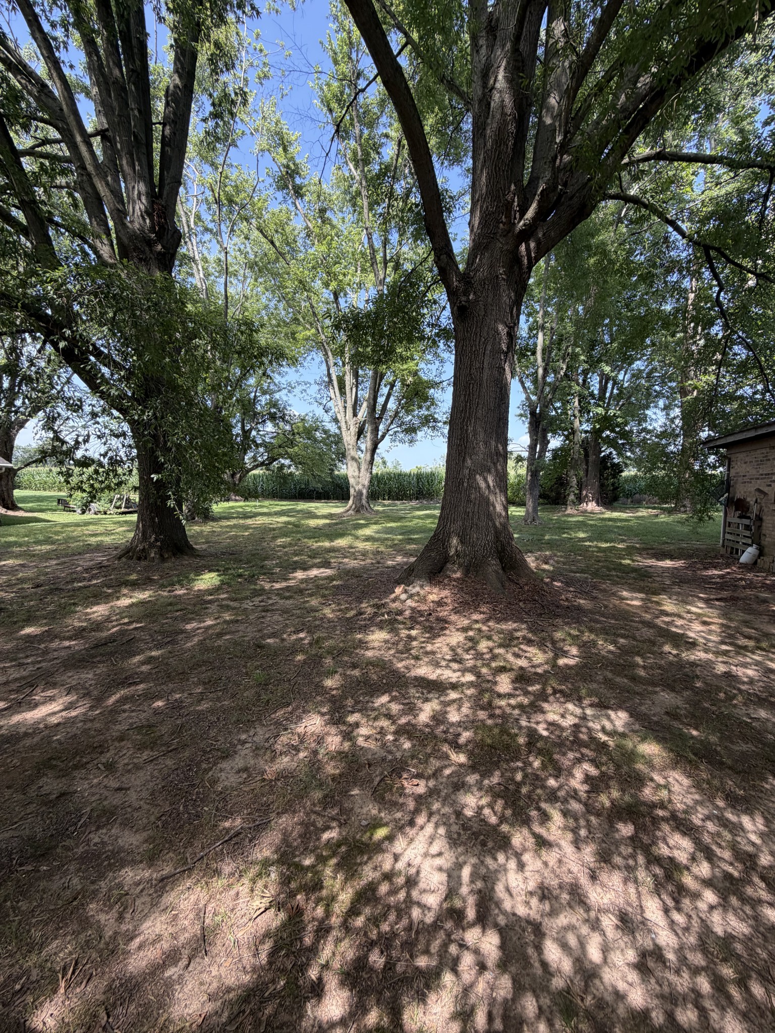 108 Riggs Avenue Portland, TN 37148 - Photo 4 of 23