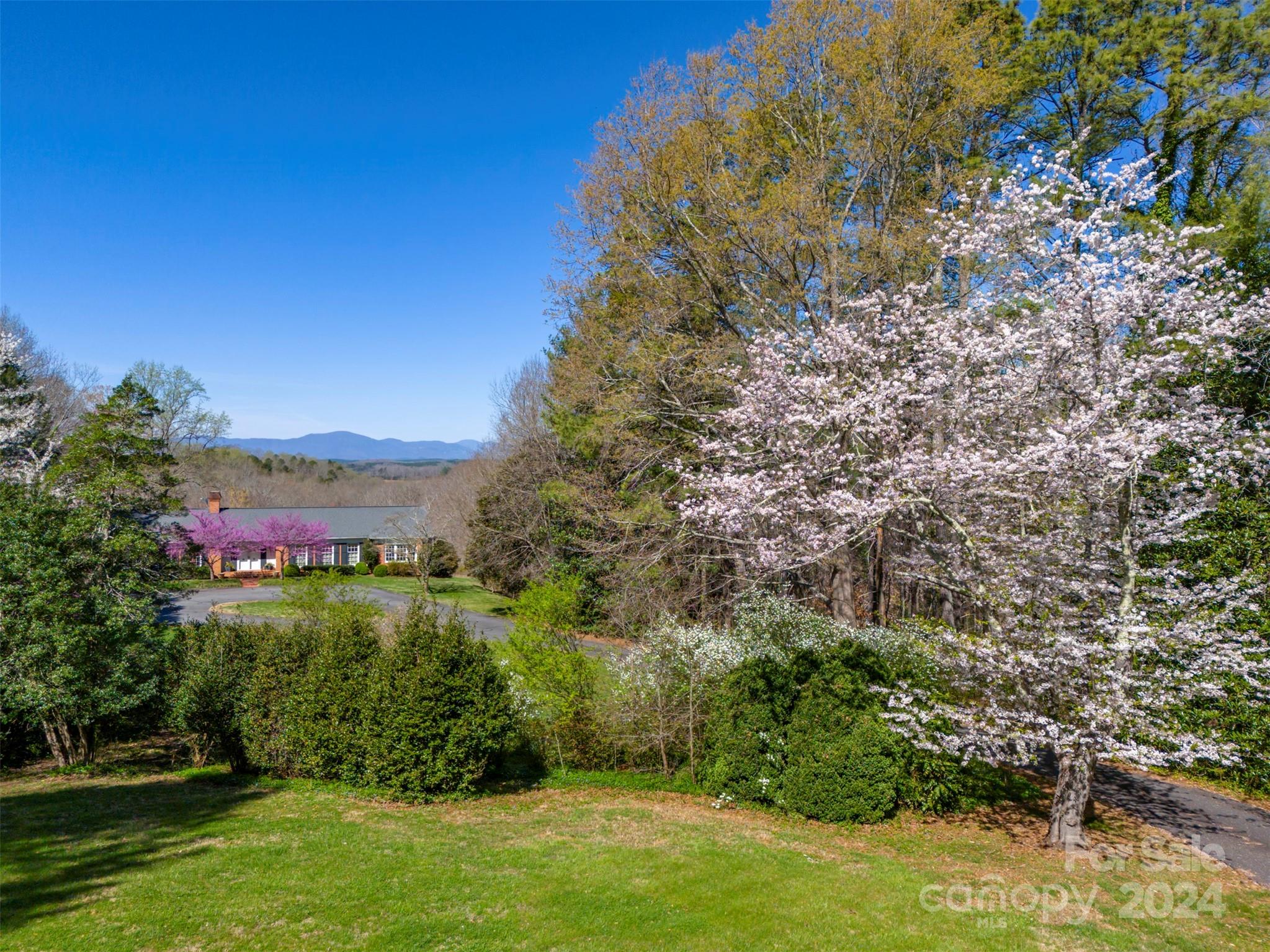 720 New Hope Road Rutherfordton, NC 28139 - Photo 1 of 44 a view of a bunch of trees and bushes