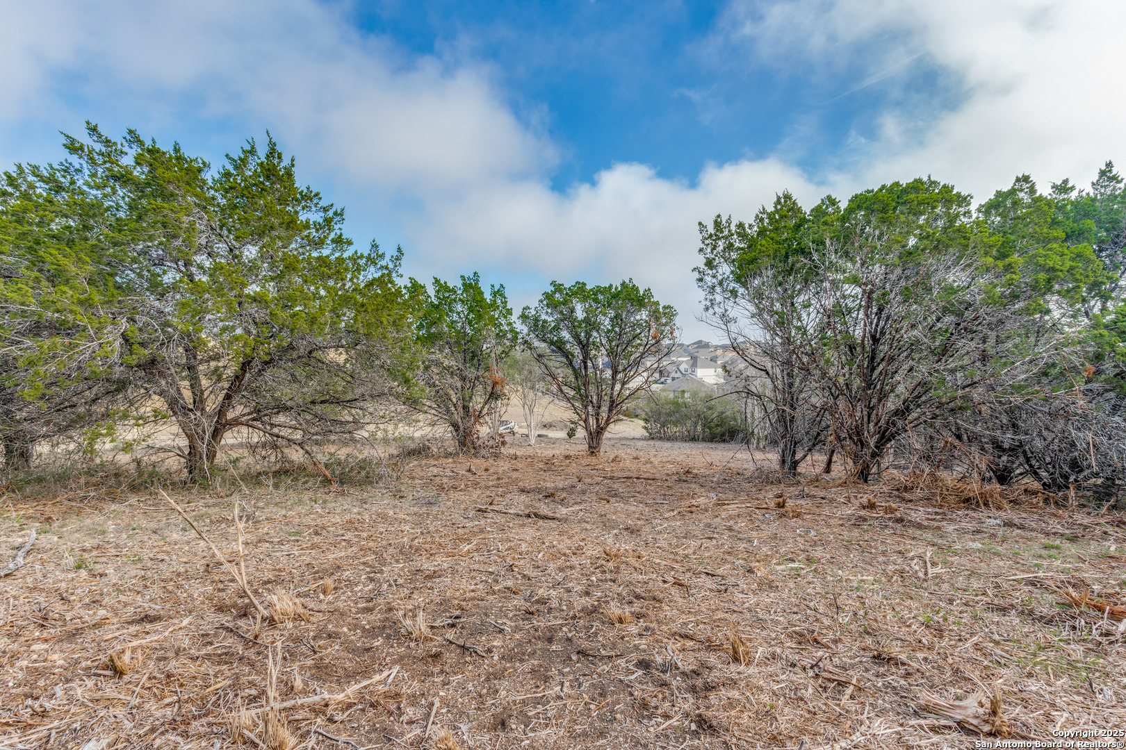 16 Wesp Way Live Oak, TX 78233 - Photo 7 of 10 a view of a yard with plants and trees