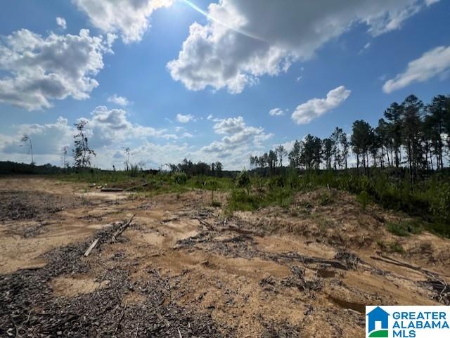 11482 Camp Oliver Road Adger, AL 35006 - Photo 28 of 48