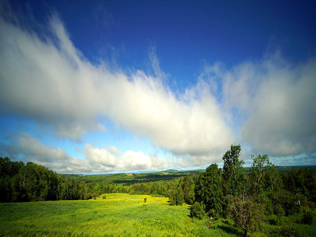 299 Thompson Settlement Road Oakfield, ME 04763 - Photo 13 of 20 land-299-thompson-settlemen