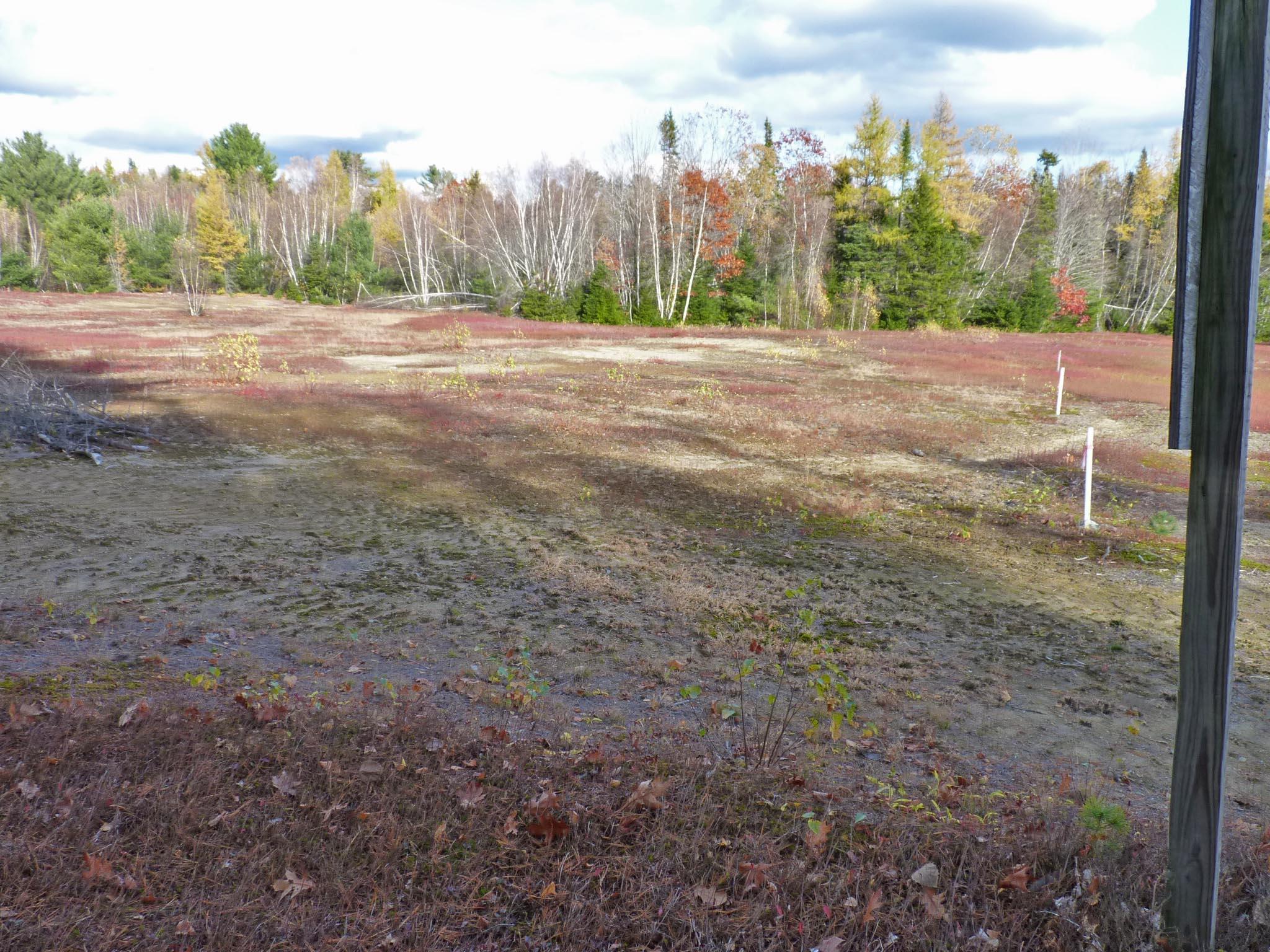 0 Pyle Road Ellsworth, ME 04605 - Photo 14 of 18 2f