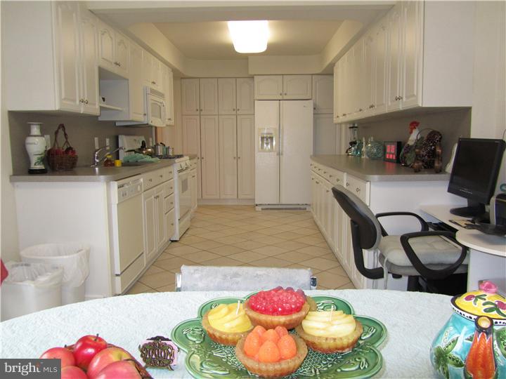 412 Williams Road Wynnewood, PA 19096 - Photo 9 of 13 Gallery Image 9