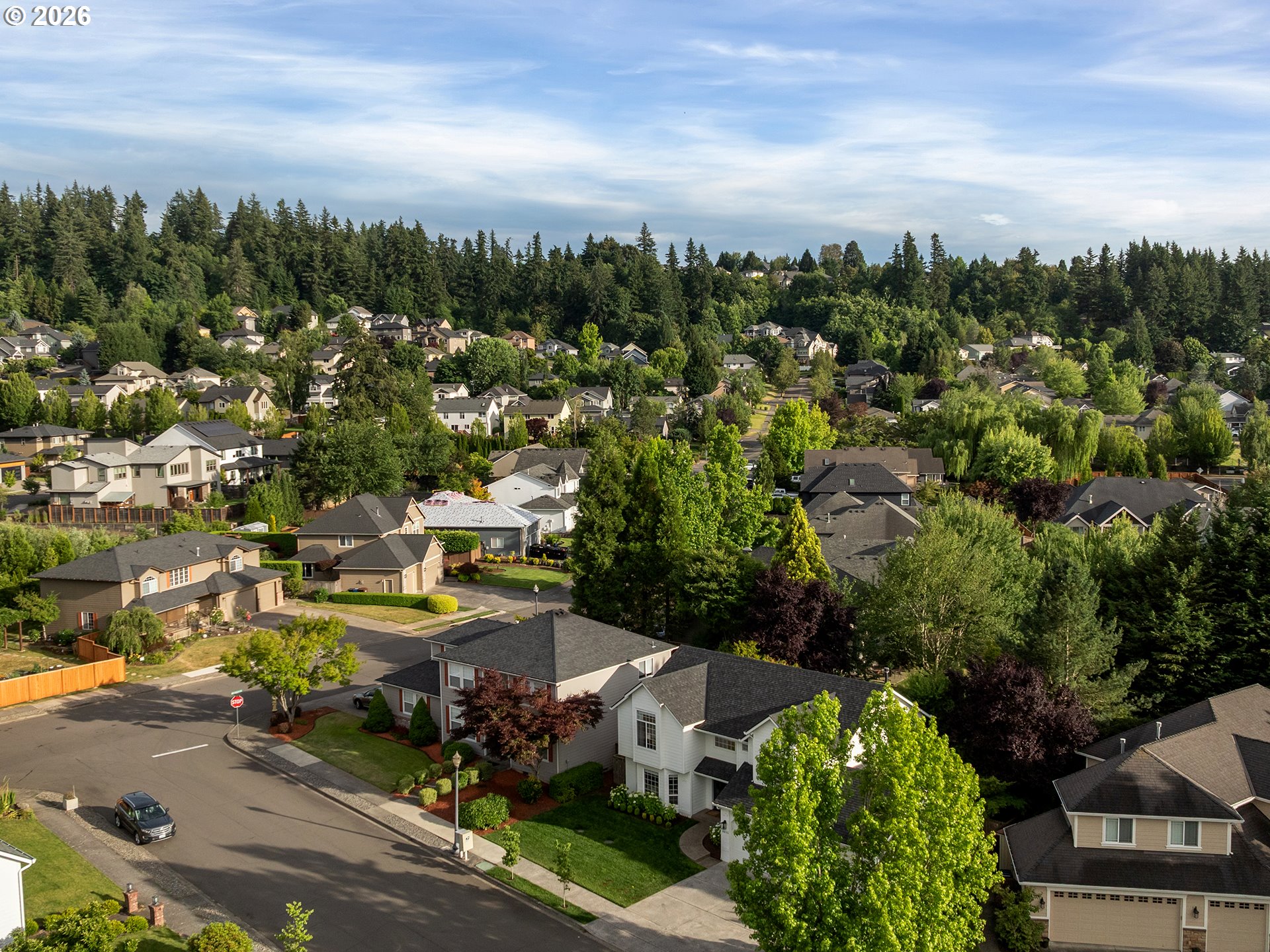 4015 Northwest Dahlia Loop Camas, WA 98607 - Photo 37 of 46 Drone View/UAV