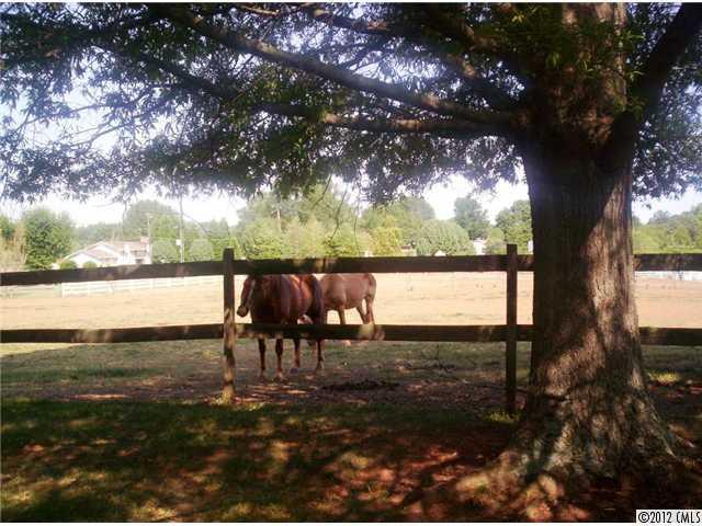 3704 County Home Road Conover, NC 28613 - Photo 16 of 16 Gallery Image 16