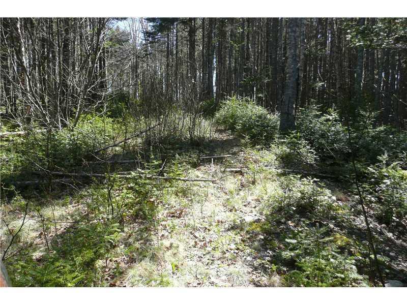 Lot 53 Salt Breeze Way Addison, ME 04606 - Photo 22 of 23 Land.