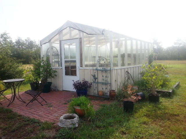 258 Beck Road Williston, SC 29853 - Photo 21 of 23