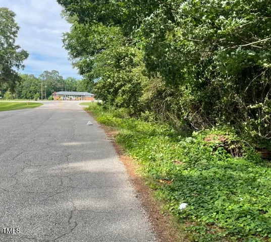 a view of a yard with plants and trees