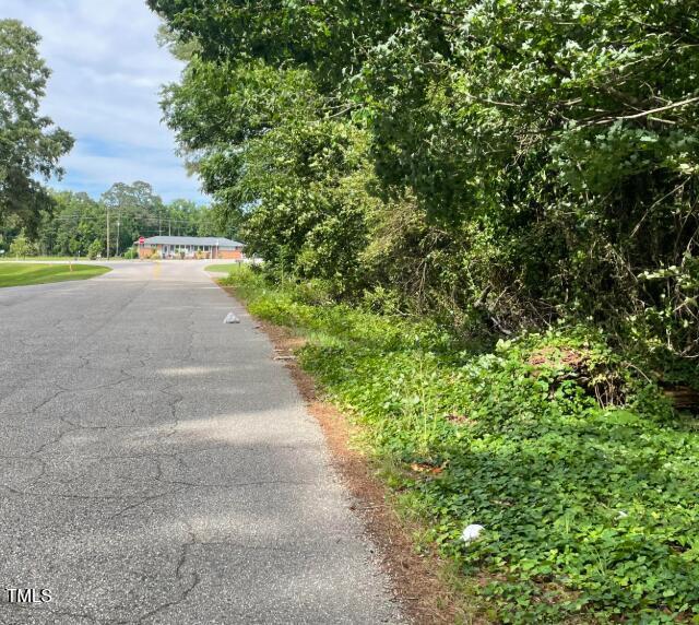 0 East I Street Erwin, NC 28339 - Photo 3 of 3 a view of a yard with plants and trees