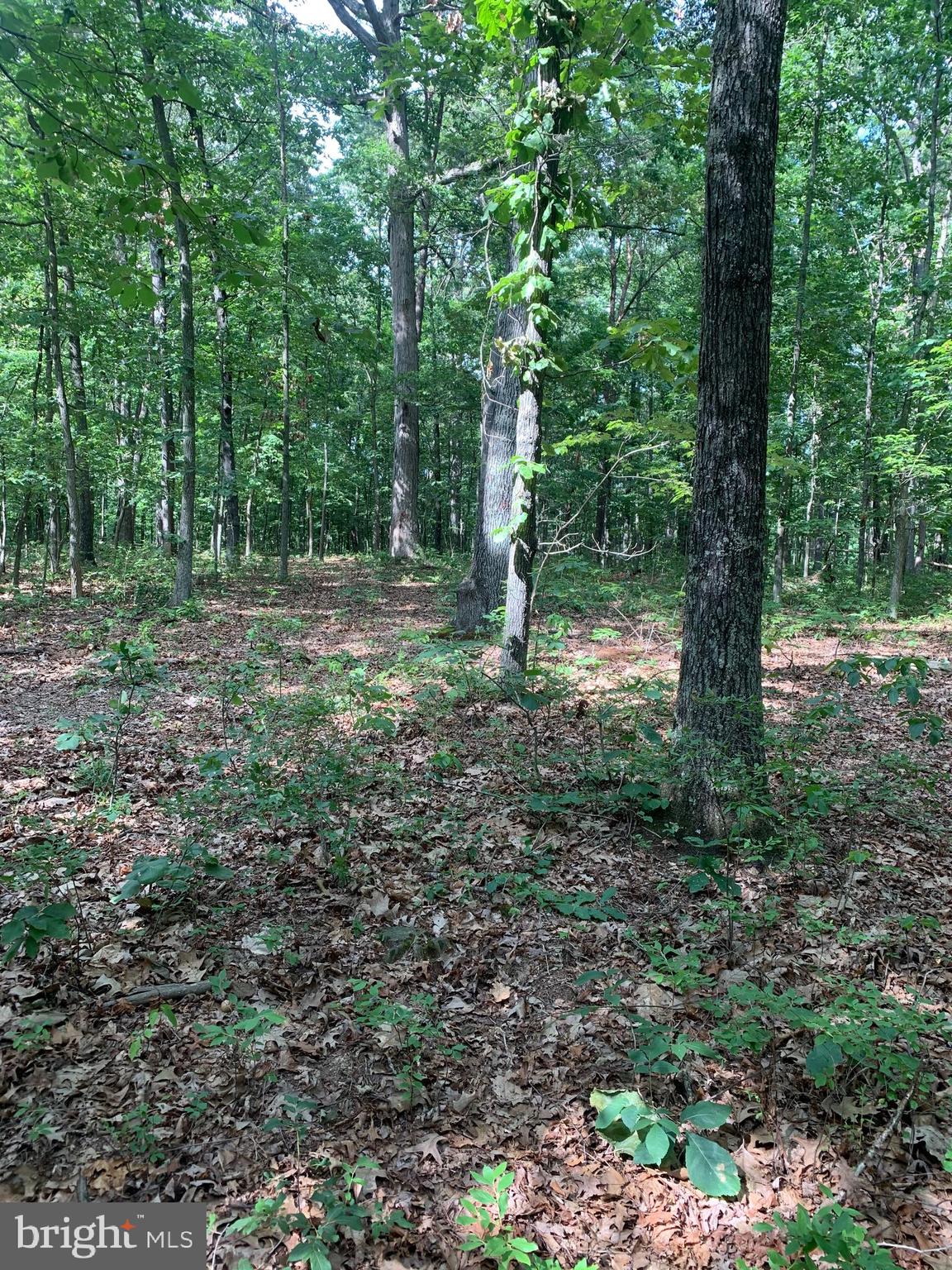 Inlet Road Culpeper, VA 22701 - Photo 1 of 9 Gallery Image 1