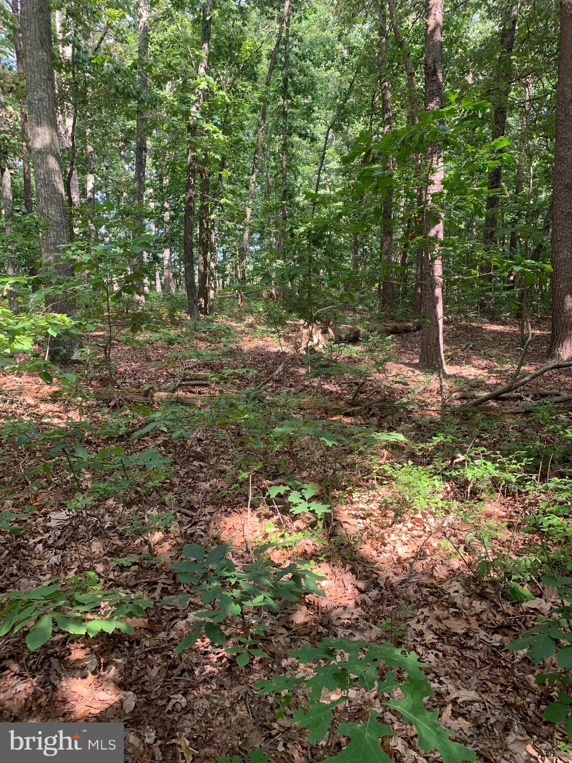 Inlet Road Culpeper, VA 22701 - Photo 4 of 9 Gallery Image 4