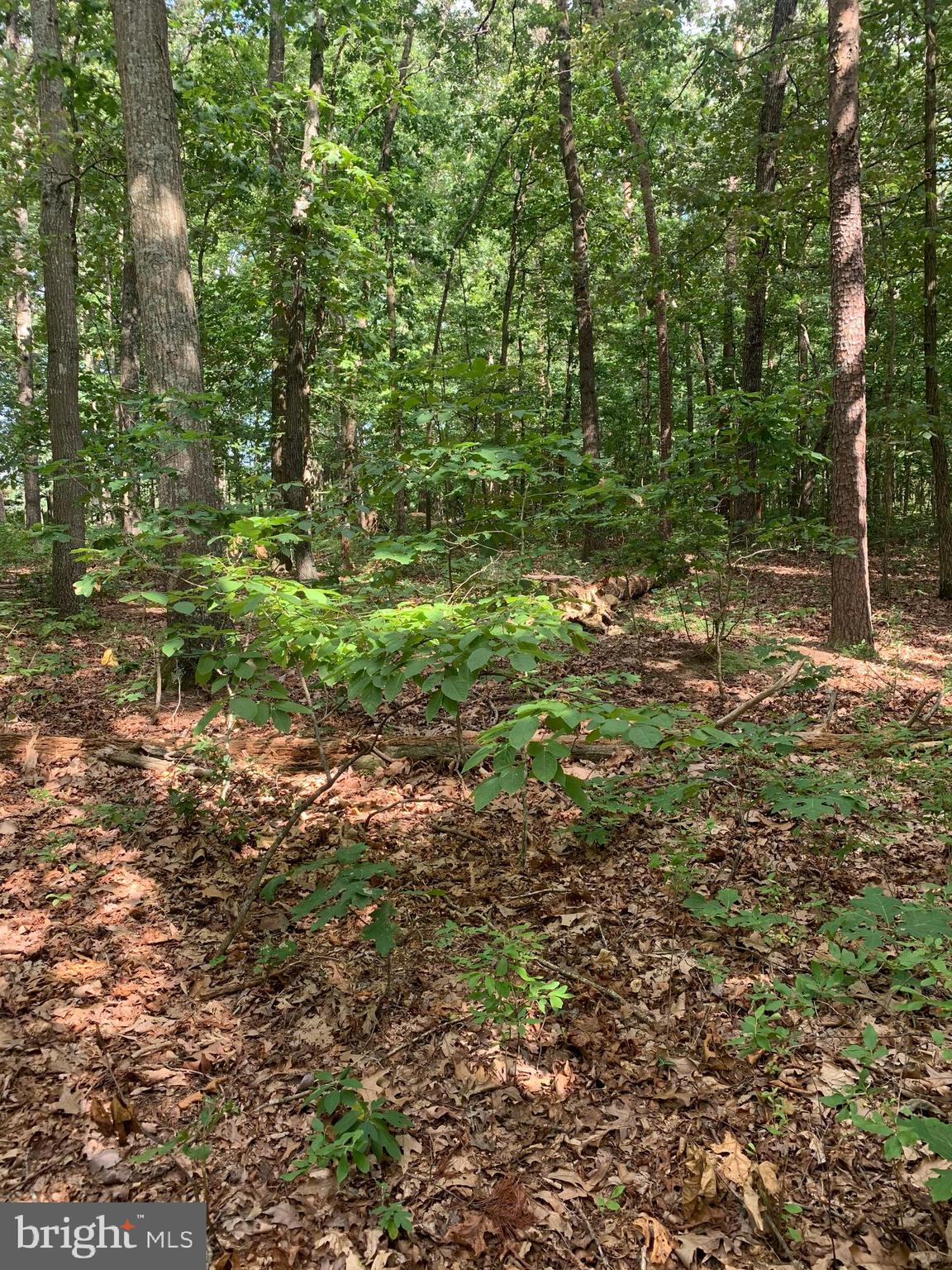 Inlet Road Culpeper, VA 22701 - Photo 6 of 9 Gallery Image 6
