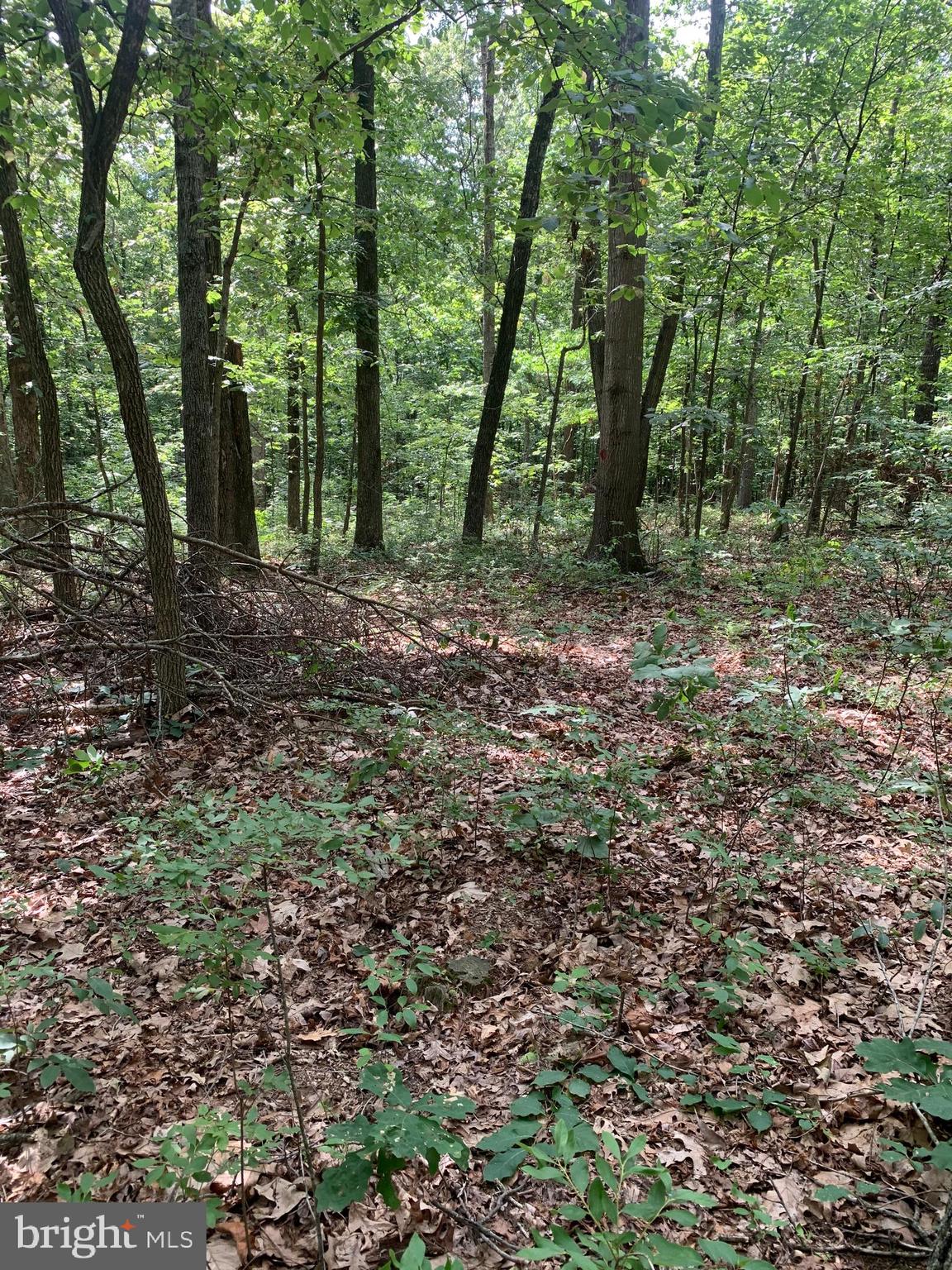 Inlet Road Culpeper, VA 22701 - Photo 8 of 9 Gallery Image 8