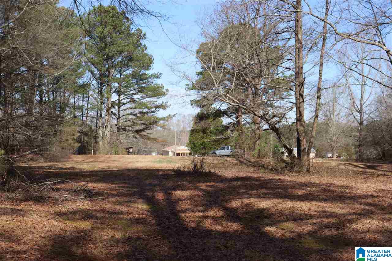 4908 Jim Goggans Road Dora, AL 35062 - Photo 25 of 30